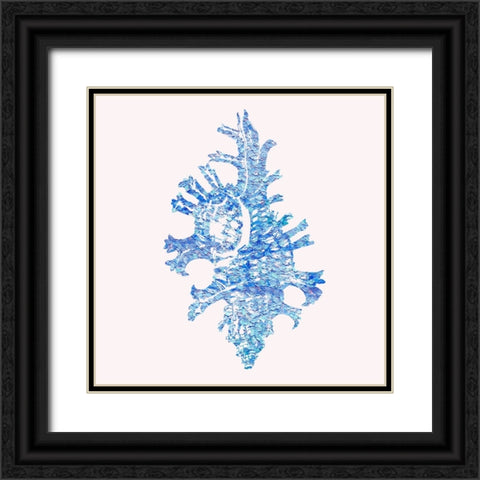 Bahama Shell II Black Ornate Wood Framed Art Print with Double Matting by Guillen, Surma