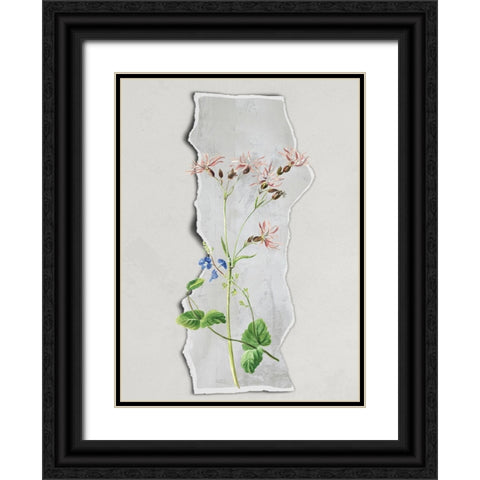 In the Strip II Black Ornate Wood Framed Art Print with Double Matting by Smith, Karen