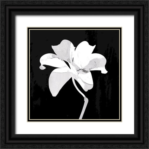 Chalkstalk I Black Ornate Wood Framed Art Print with Double Matting by Smith, Karen