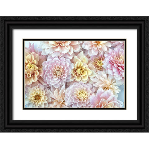 Dahlia Tapestry I Black Ornate Wood Framed Art Print with Double Matting by Stalus, Judy