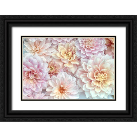 Dahlia Tapestry II Black Ornate Wood Framed Art Print with Double Matting by Stalus, Judy
