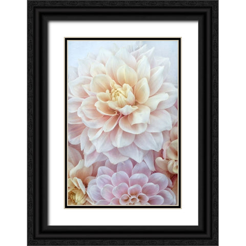 Dahlia Dream Black Ornate Wood Framed Art Print with Double Matting by Stalus, Judy