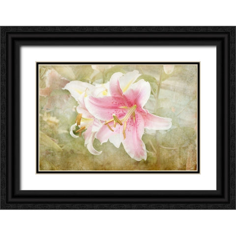 Lily Black Ornate Wood Framed Art Print with Double Matting by Stalus, Judy