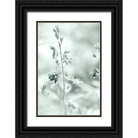 Silver Morning Black Ornate Wood Framed Art Print with Double Matting by Stalus, Judy