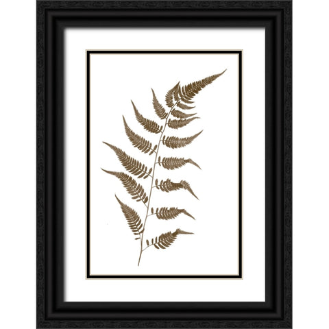 Fern Black Ornate Wood Framed Art Print with Double Matting by Stalus, Judy