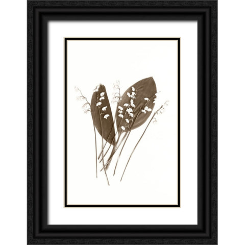 Lily of the Valley Black Ornate Wood Framed Art Print with Double Matting by Stalus, Judy