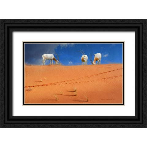 Scimitar Orxyes Restored Black Ornate Wood Framed Art Print with Double Matting by Vest, Christopher