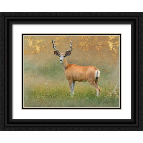 High Summer Velvet Buck Deer Black Ornate Wood Framed Art Print with Double Matting by Vest, Christopher