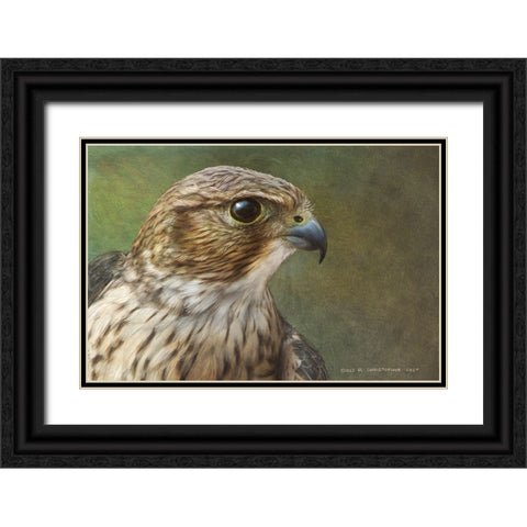 Merlin Portrait Black Ornate Wood Framed Art Print with Double Matting by Vest, Christopher