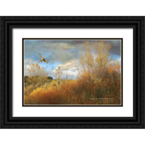 Willow Cottonwood Gulley Black Ornate Wood Framed Art Print with Double Matting by Vest, Christopher