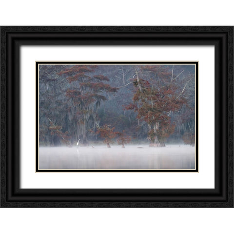 Egrette Black Ornate Wood Framed Art Print with Double Matting by Marchegiani, Roberto