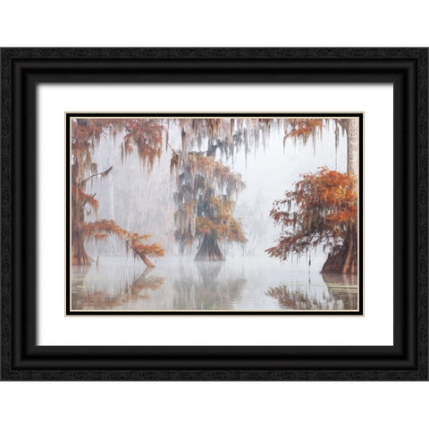 Mysty Bayou Black Ornate Wood Framed Art Print with Double Matting by Marchegiani, Roberto
