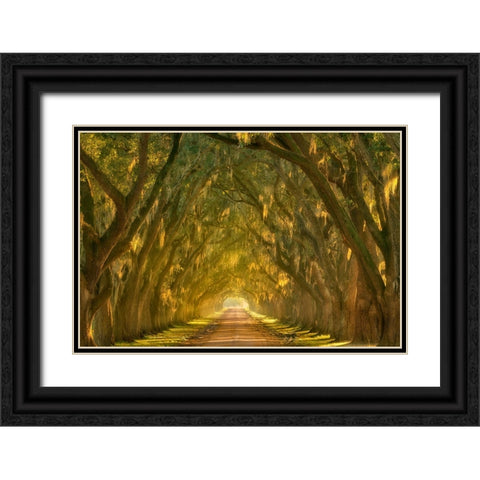 Illumination Alley Black Ornate Wood Framed Art Print with Double Matting by Moore, Chris