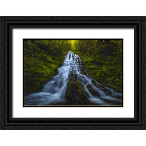 Staircase Falls Black Ornate Wood Framed Art Print with Double Matting by Dyar, Ryan