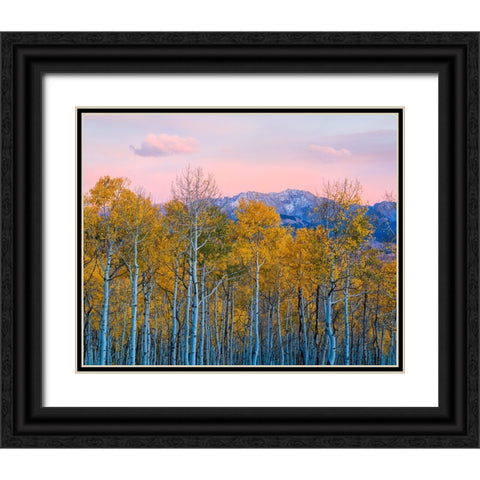 Autumn Delight Black Ornate Wood Framed Art Print with Double Matting by Fan, John