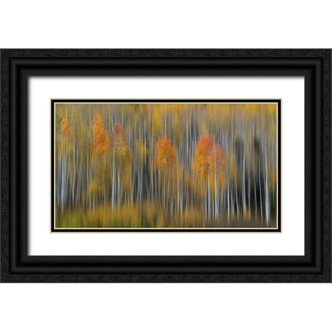 Fall Impression #2 Black Ornate Wood Framed Art Print with Double Matting by Austin