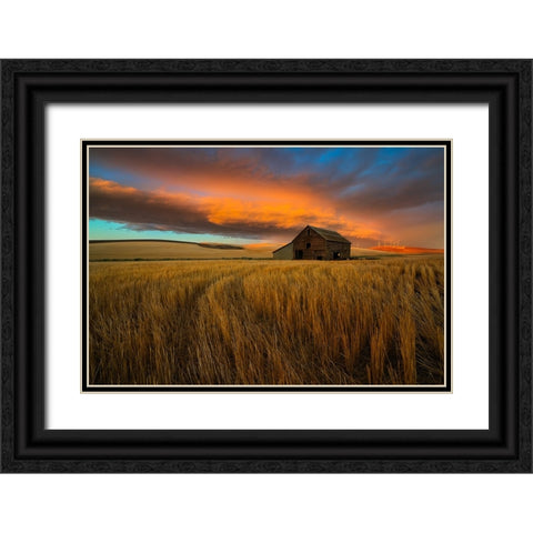 Storm over Palouse Black Ornate Wood Framed Art Print with Double Matting by Fan, John