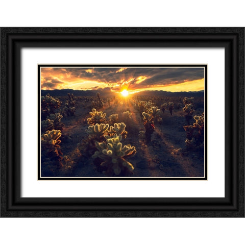 Kingdom Of Chola Black Ornate Wood Framed Art Print with Double Matting by Bandyopadhyay, Atanu