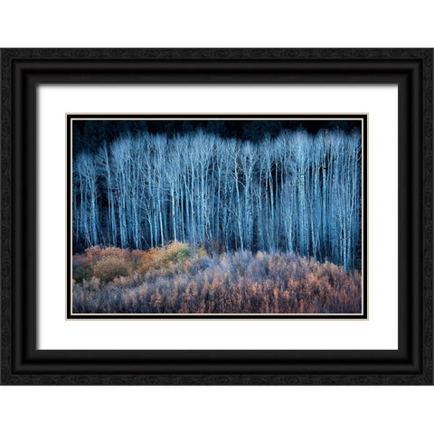 End of Autumn Black Ornate Wood Framed Art Print with Double Matting by Xu, Mei