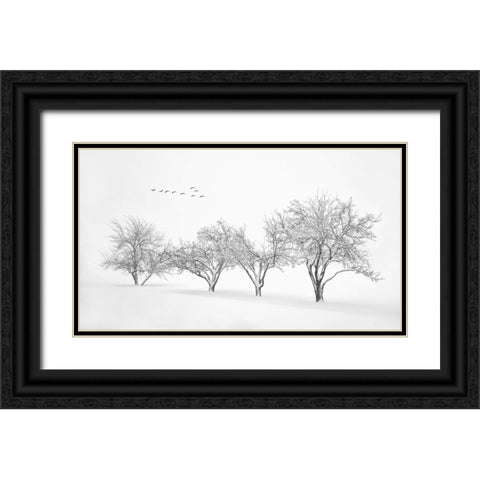 White World Black Ornate Wood Framed Art Print with Double Matting by Xu, Mei