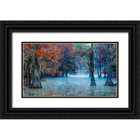 Caddo Lake Black Ornate Wood Framed Art Print with Double Matting by Bian, James