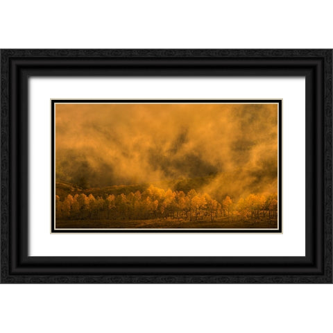 Garden of Eden Black Ornate Wood Framed Art Print with Double Matting by Fan, John