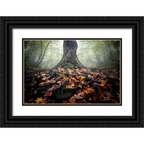 Autumn Black Ornate Wood Framed Art Print with Double Matting by Chen, Cicy
