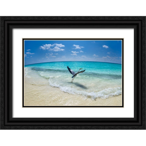 Take-off Black Ornate Wood Framed Art Print with Double Matting by Marchegiani, Roberto