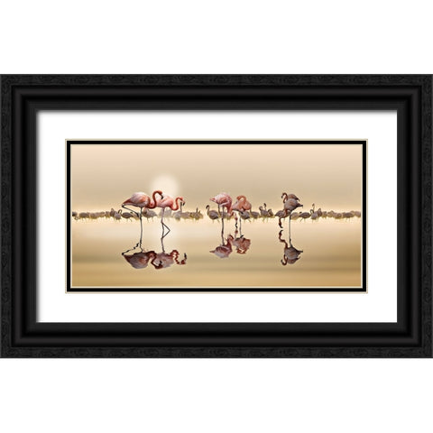 FLAMINGOS Black Ornate Wood Framed Art Print with Double Matting by OSMAN, NASSER