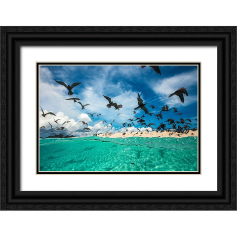 Ocean bird Black Ornate Wood Framed Art Print with Double Matting by Gabriel, Barathieu