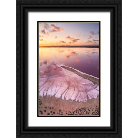 Pink lake Black Ornate Wood Framed Art Print with Double Matting by Carrillo Lopez, Antonio