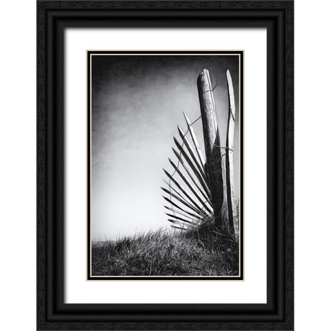 No offence in the dunes Black Ornate Wood Framed Art Print with Double Matting by Flour, Bruno