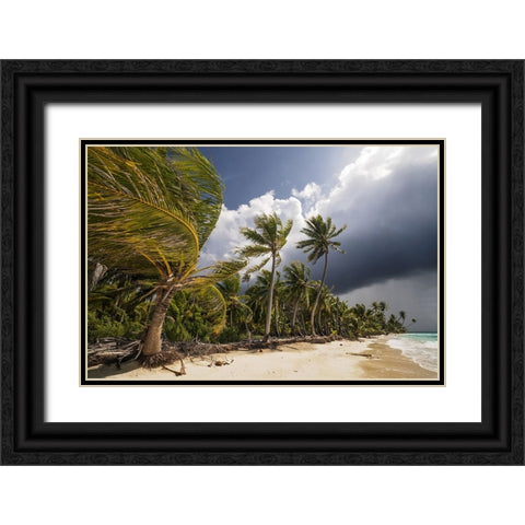 Thunderstorm Black Ornate Wood Framed Art Print with Double Matting by Wrobel, Karsten