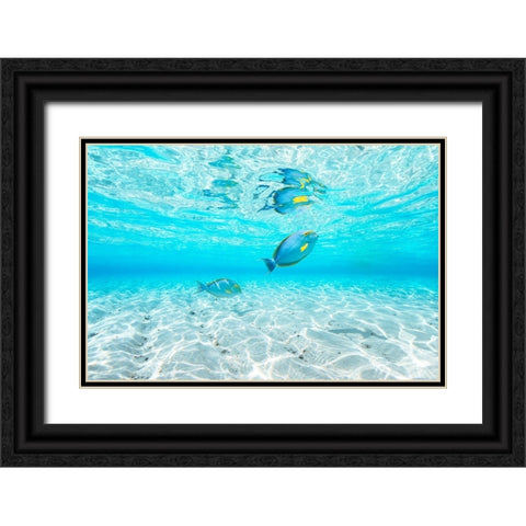 Blue lagoon Black Ornate Wood Framed Art Print with Double Matting by Gabriel, Barathieu