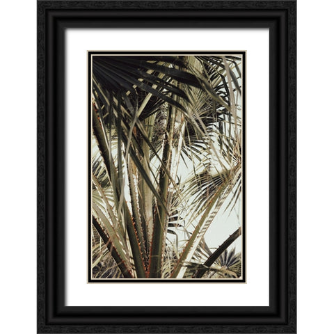 Palmblad 006 Black Ornate Wood Framed Art Print with Double Matting by Artographie Studio