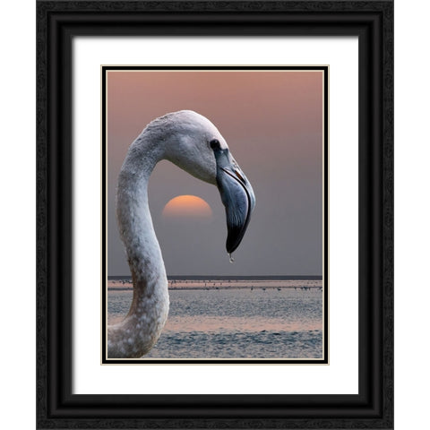 This is my world Black Ornate Wood Framed Art Print with Double Matting by Guillemot, Mathilde