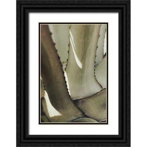 Agave 002 Black Ornate Wood Framed Art Print with Double Matting by Artographie Studio