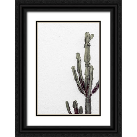 Cactus 003 Black Ornate Wood Framed Art Print with Double Matting by Artographie Studio