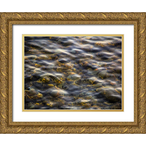 Abstract 16 Gold Ornate Wood Framed Art Print with Double Matting by Lee, Rachel