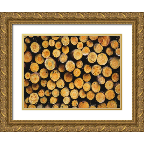 Abstract 2 Gold Ornate Wood Framed Art Print with Double Matting by Lee, Rachel