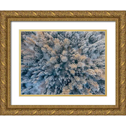 Aerial 11 Gold Ornate Wood Framed Art Print with Double Matting by Lee, Rachel