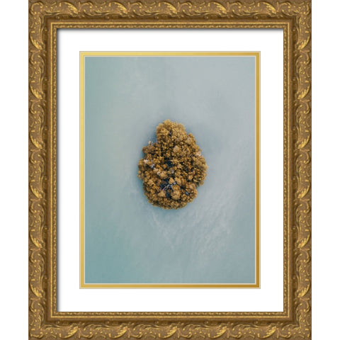 Aerial 13 Gold Ornate Wood Framed Art Print with Double Matting by Lee, Rachel