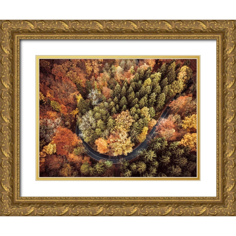 Aerial 15 Gold Ornate Wood Framed Art Print with Double Matting by Lee, Rachel