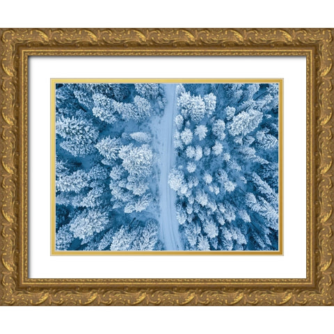 Aerial 16 Gold Ornate Wood Framed Art Print with Double Matting by Lee, Rachel