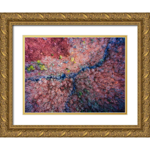 Aerial 2 Gold Ornate Wood Framed Art Print with Double Matting by Lee, Rachel
