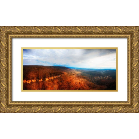 Aerial 3 Gold Ornate Wood Framed Art Print with Double Matting by Lee, Rachel