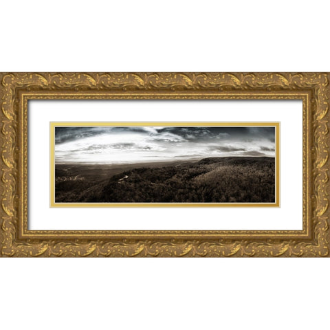 Aerial 5 Gold Ornate Wood Framed Art Print with Double Matting by Lee, Rachel