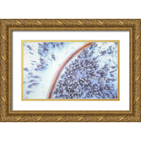 Aerial 6 Gold Ornate Wood Framed Art Print with Double Matting by Lee, Rachel