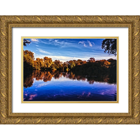 Afternoon Pond Gold Ornate Wood Framed Art Print with Double Matting by Lee, Rachel
