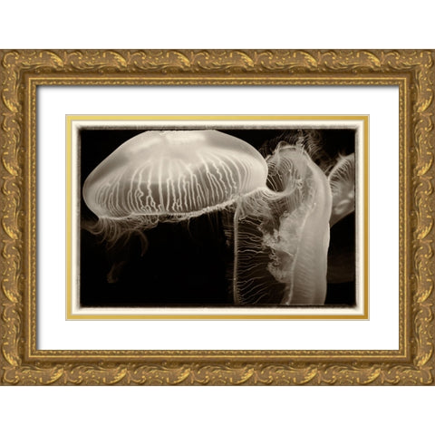 Antique Jellies 2 Gold Ornate Wood Framed Art Print with Double Matting by Lee, Rachel